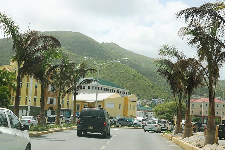 100 Palm Trees Planted Road Town Tortola