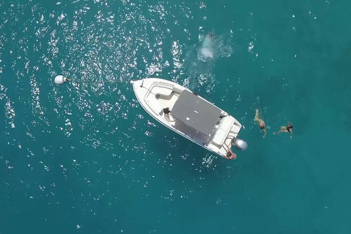 Island Time Power Boat Rentals & Charters