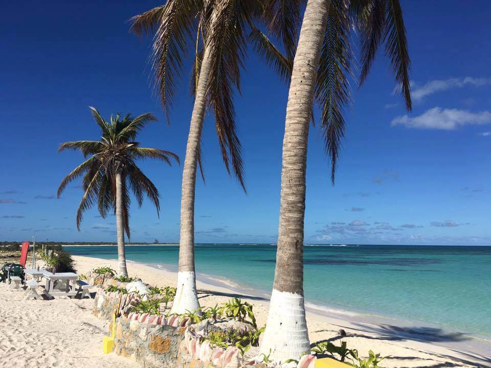 Cow Wreck Beach, Anegada