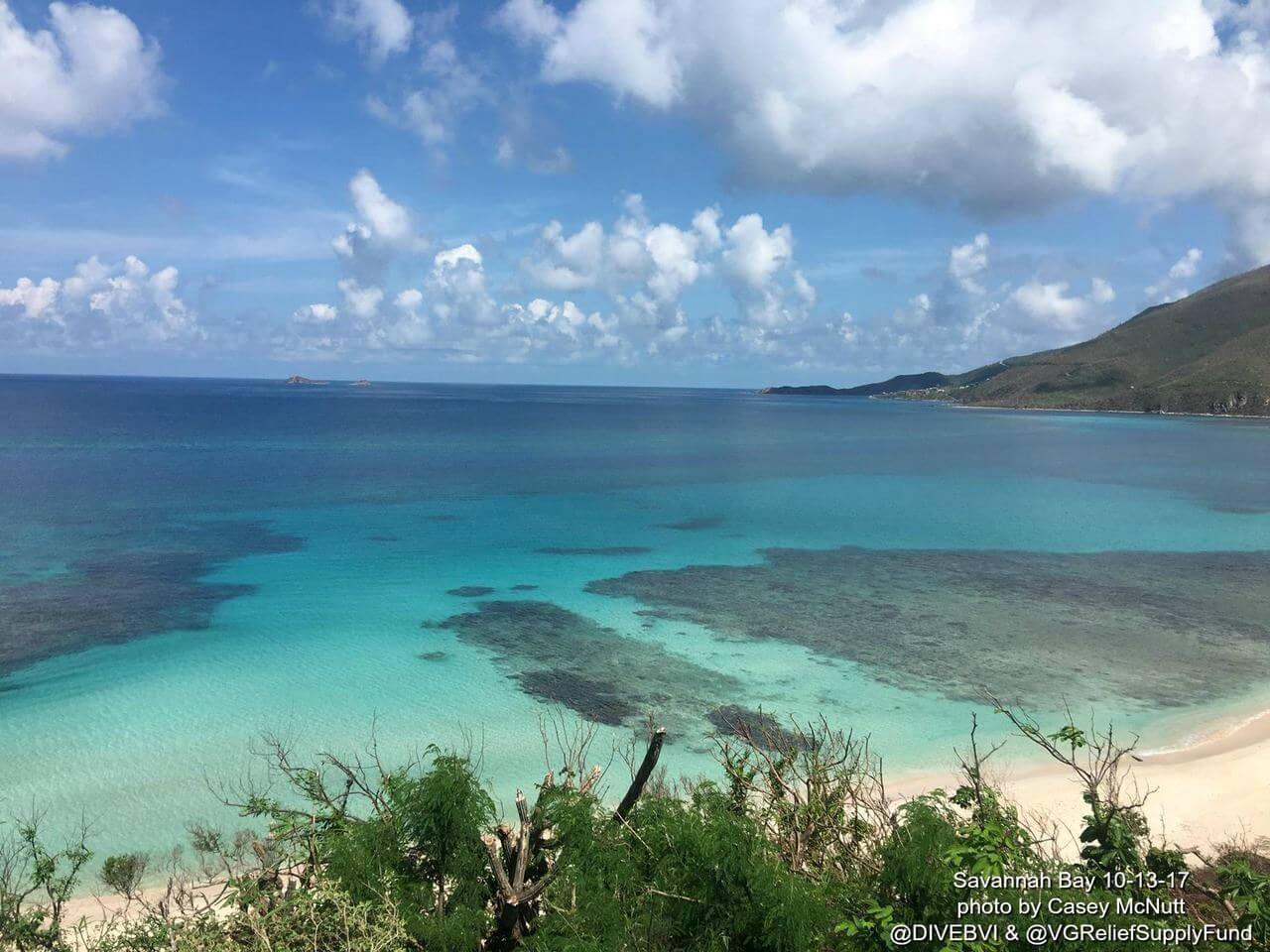 Savannah Bay Reef, Virgin Gorda