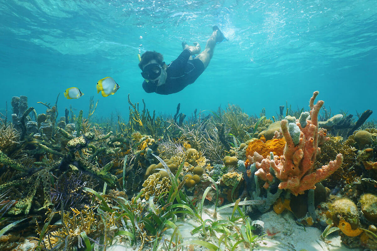 Adventure Charters BVI - Snorkeling