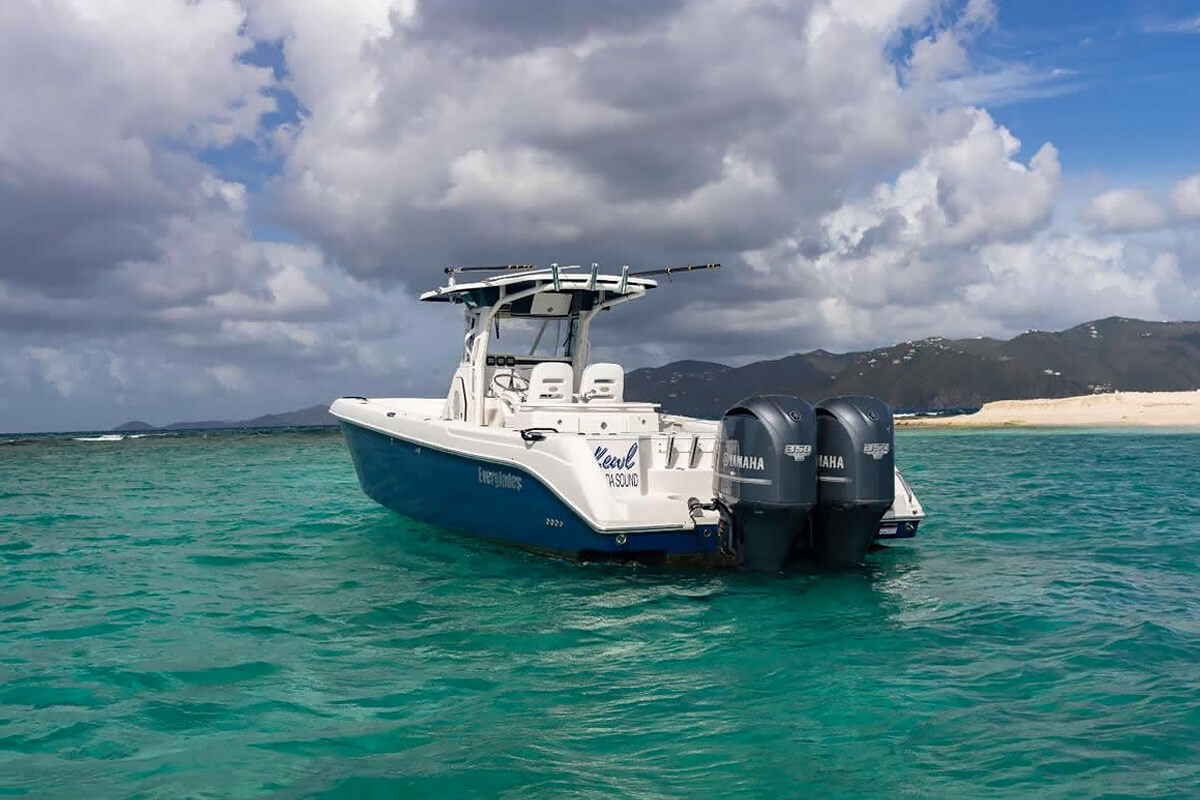 Dolphin Water Taxi - Kewl - 12 Passengers