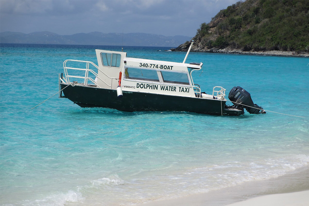 Dolphin Water Taxi - Sponge Bob - 12 Passengers