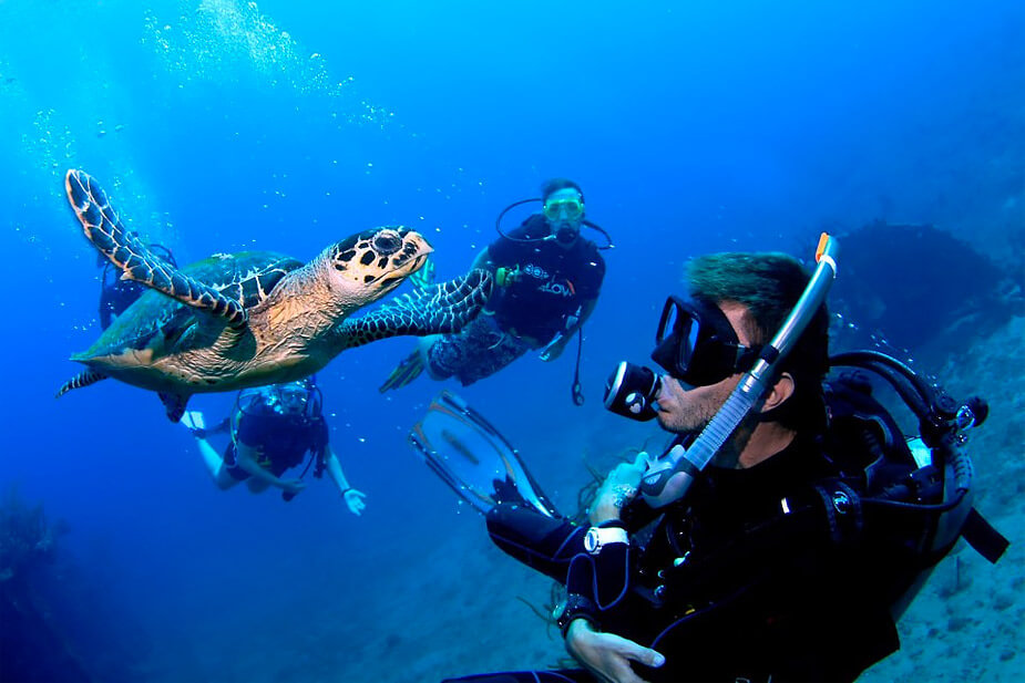 Sail Caribbean Divers Scuba Tortola BVI