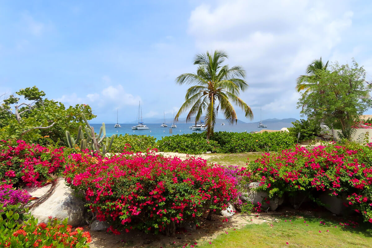 Beach House Villa View