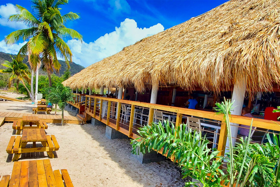 De Loose Mongoose Trellis Bay BVI